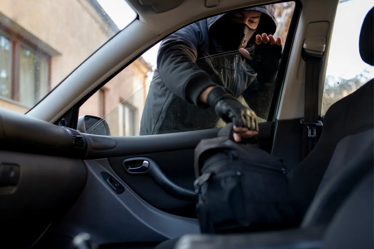 Tentativo di furto presso lo store Risparmio Casa sventato da un addetto alla sicurezza Top Secret