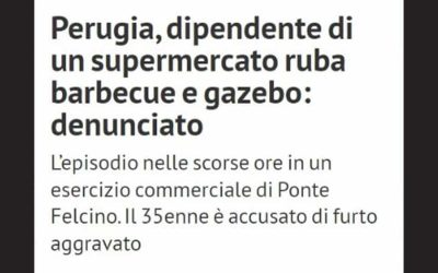 Tentativo di furto presso lo store Risparmio Casa sventato da un addetto alla sicurezza Top Secret